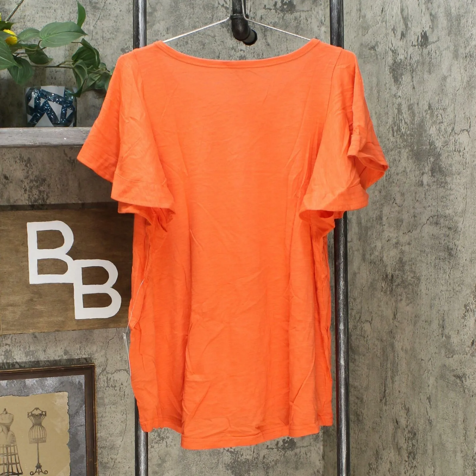 DG2 by Diane Gilman Women's Plus Size Flutter Sleeve T-Shirt