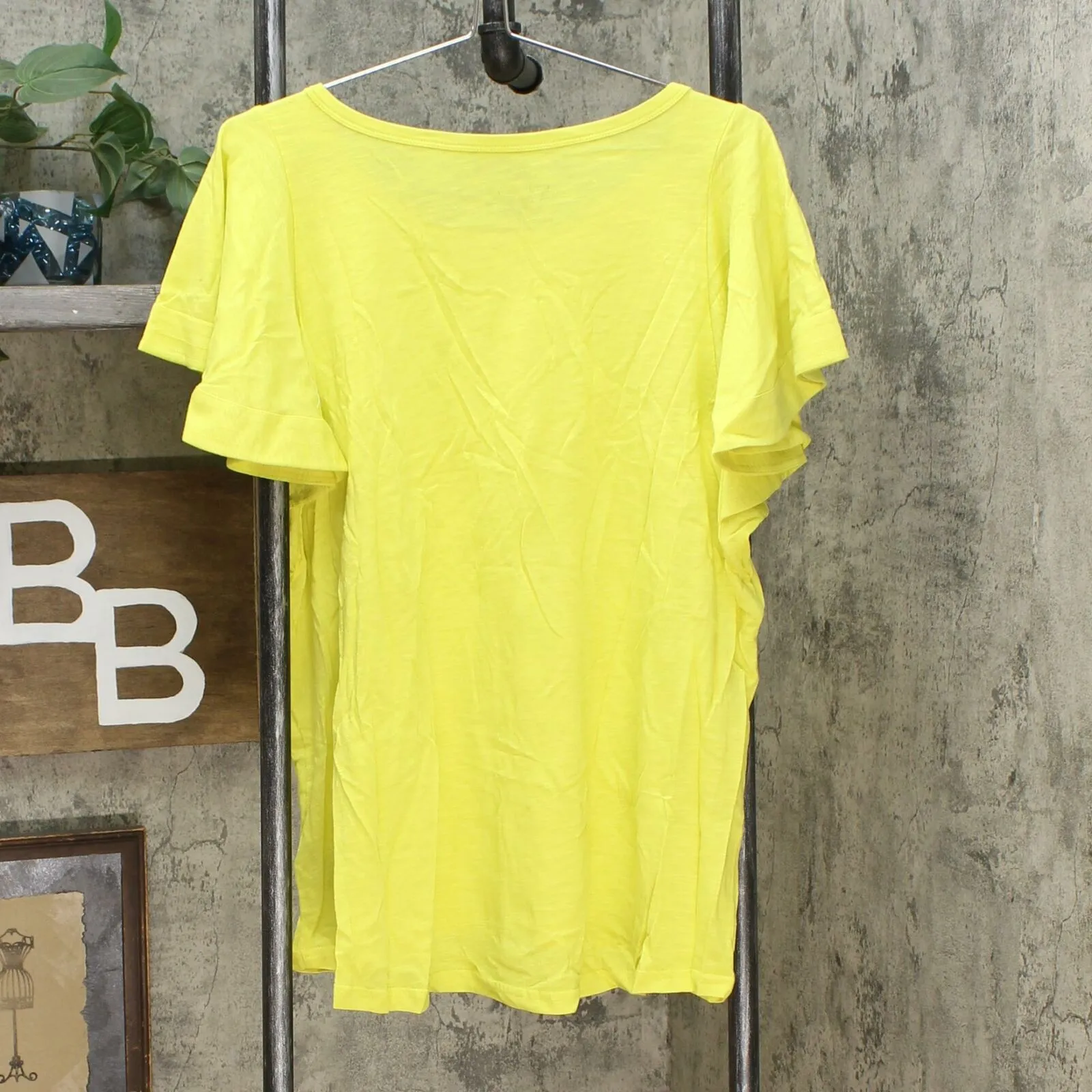 DG2 by Diane Gilman Women's Plus Size Flutter Sleeve T-Shirt