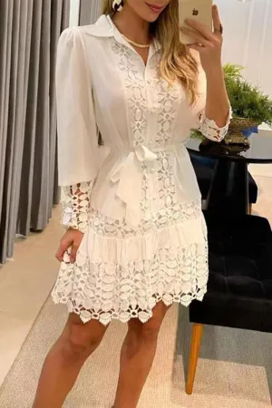 Elegant Solid Contrast Shirt Collar Dresses