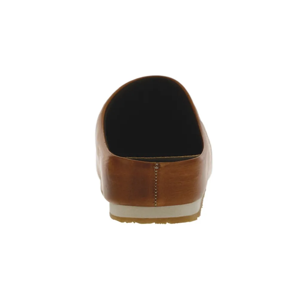 Hinny (Chestnut)