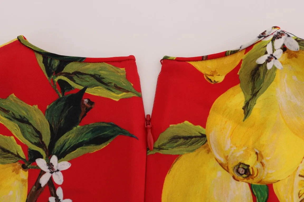 Red Lemon-Print Floral Top