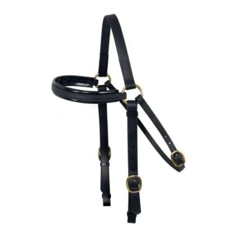 TS Brumby Barcoo Bridle Head
