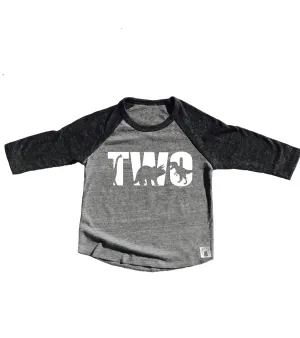 TWO Dinosaur Birthday Shirt