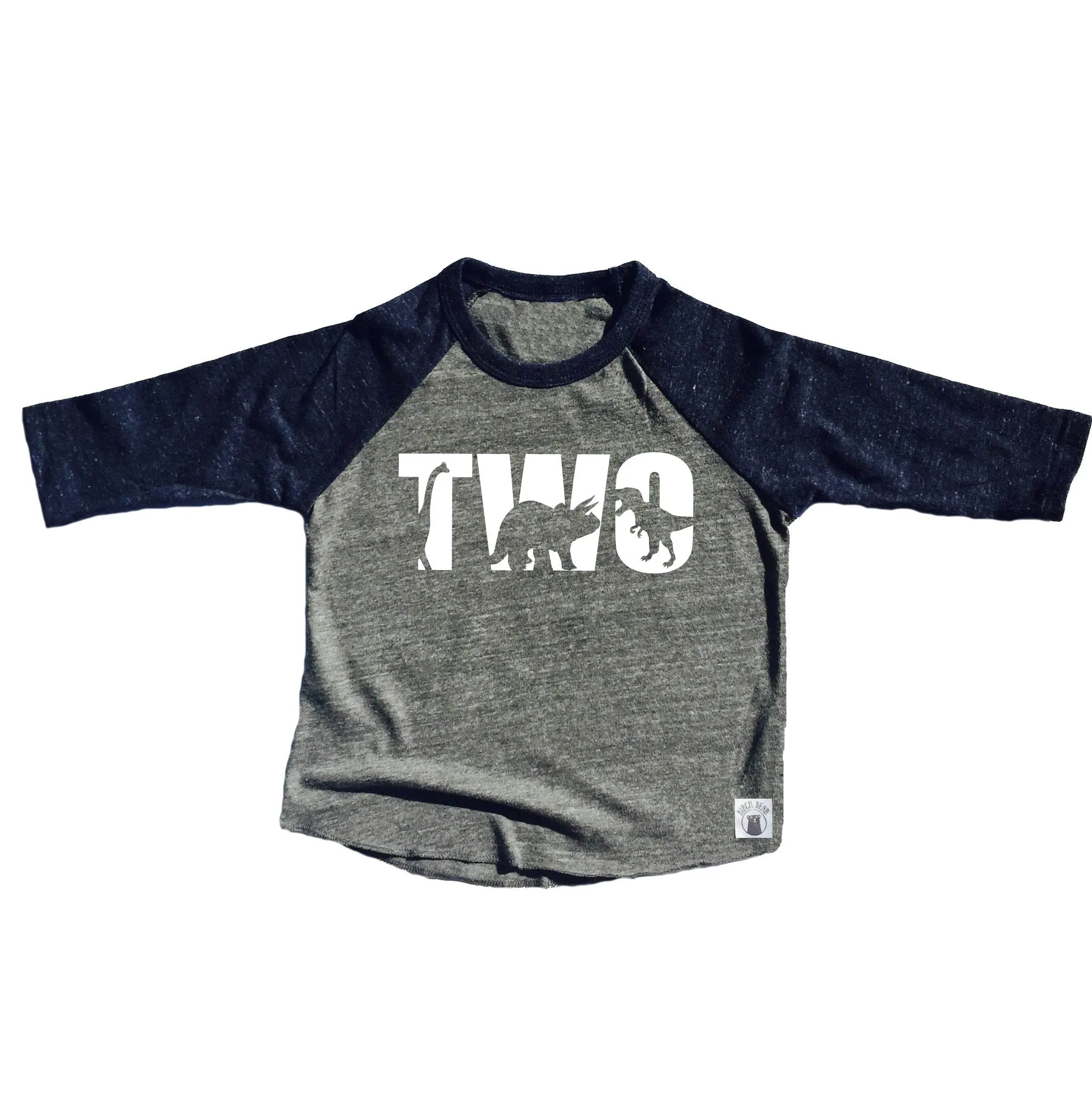 TWO Dinosaur Birthday Shirt