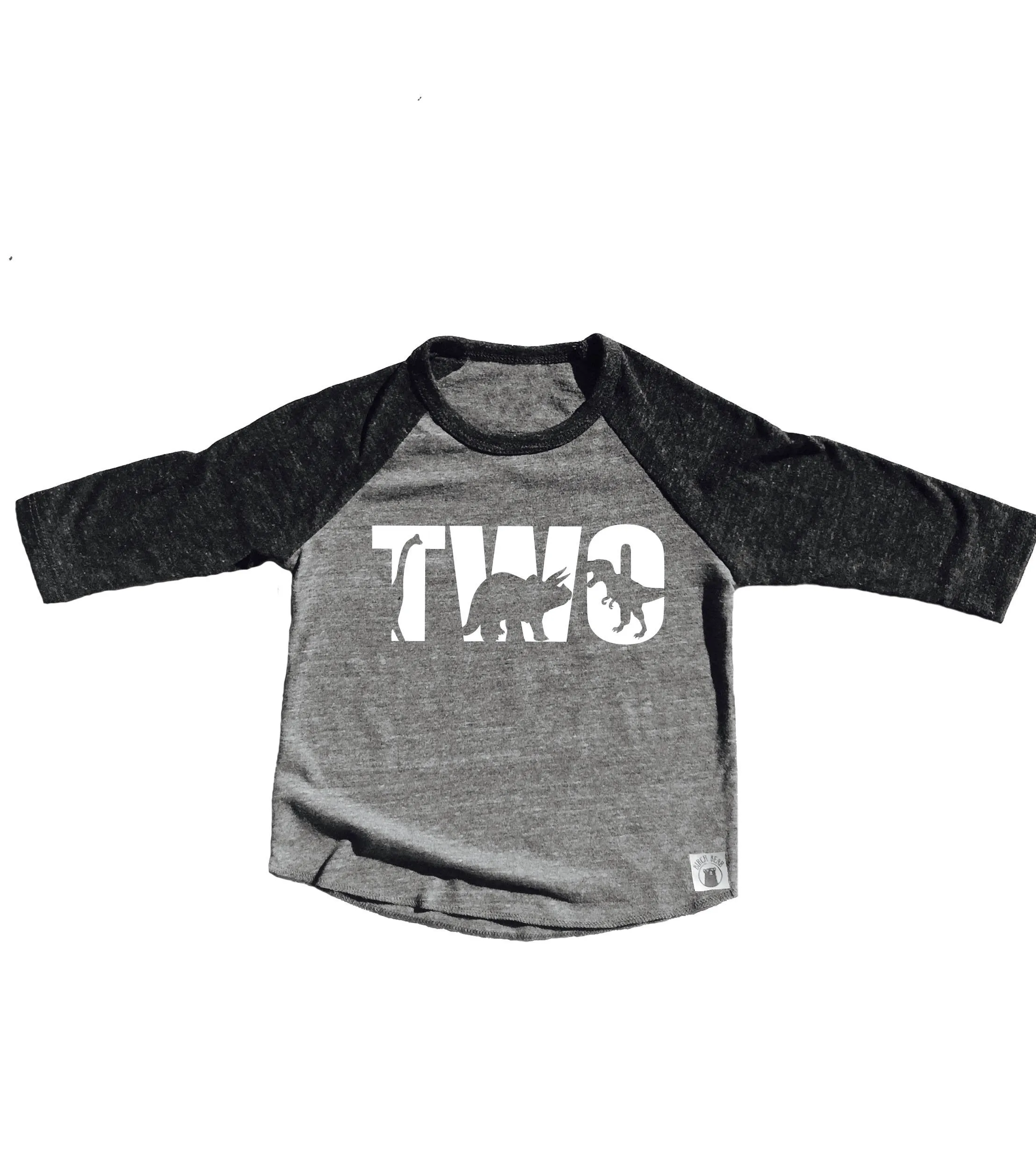 TWO Dinosaur Birthday Shirt